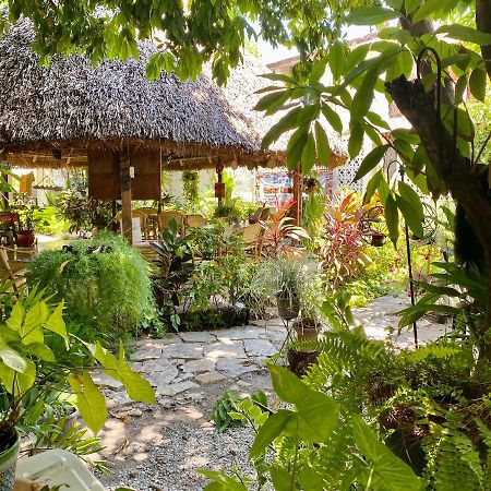 Hostal Casa Huasteca Ciudad Valles Exterior photo